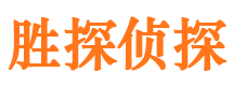 湘东市侦探公司